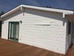 Best Steel Siding Installation  in Oquawka, IL